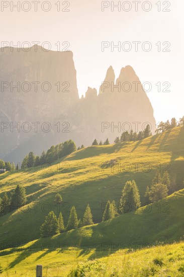 Lonely mountain peaks of the Schlehrn with green meadows and trees in the soft sunlight, Alpe di