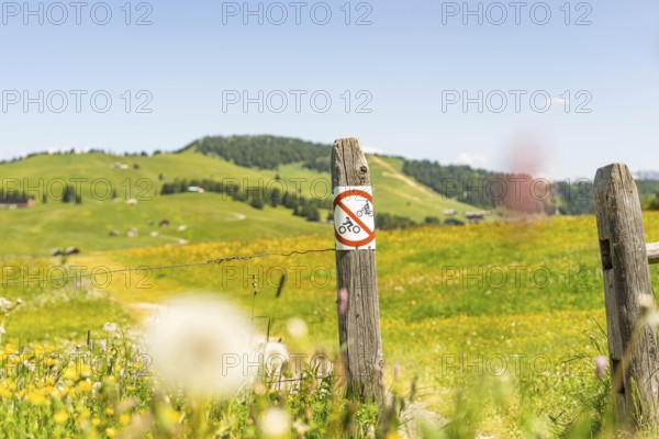 Field path with a prohibition sign surrounded by flowering meadows, Alpe di Siusi, Dolomites, South