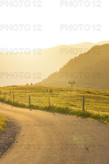 Landscape with rolling hills, a meadow and a cable car at sunset, Alpe di Siusi, Dolomites, South
