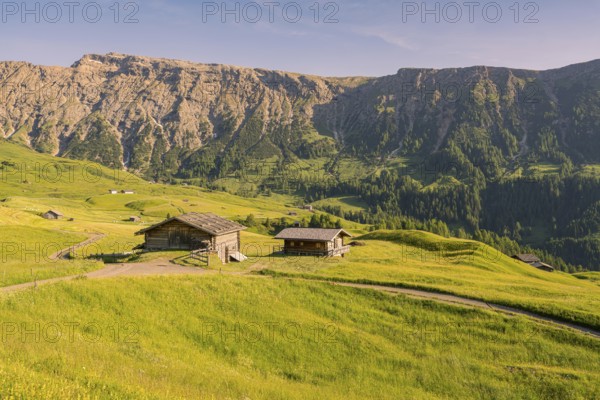 Alpine huts on a wide, sunlit meadow in front of steep mountain faces, Alpe di Siusi, Dolomites,