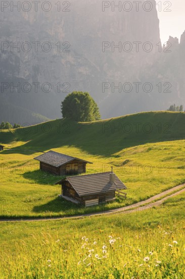 Two small wooden huts on a green meadow in front of impressive mountain cliffs, Alpe di Siusi,