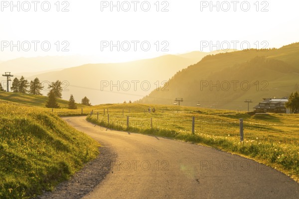 Curved road through a hilly landscape with cable cars at sunset, Alpe di Siusi, Dolomites, South