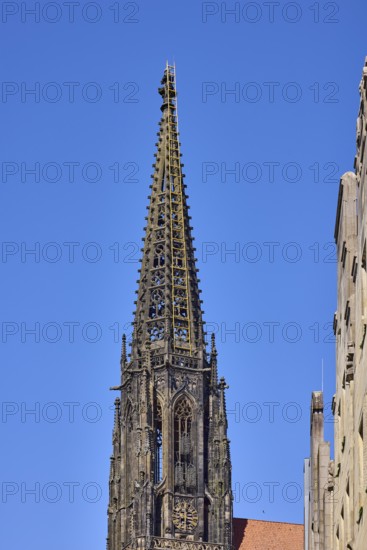 St. Lamberti, Lamberti Church, church tower, Gothic architecture, installation, ladder to heaven,