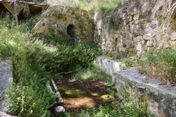 Spring, Poria spring, stone ruins overgrown with plants, impressive old wall structure,