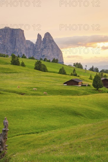 Green hills at sunset with wooden huts and mountains in the background, Alpe di Siusi, South Tyrol,