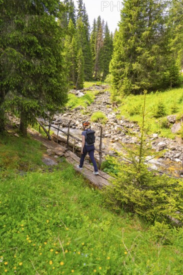 Hiker crossing a footbridge along a forest stream amidst green trees, Alpe di Siusi, South Tyrol,