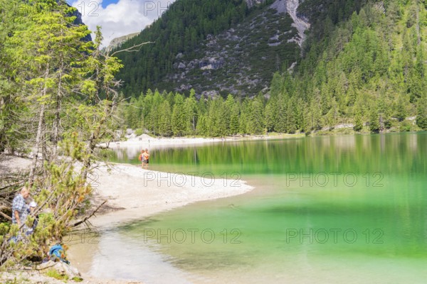 Peaceful landscape with lake and beach, surrounded by forest and mountains, Pragser Wildsee, South