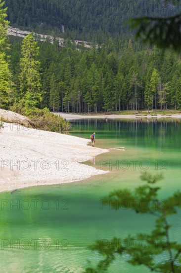 Single person on the lake shore, green water and surrounding forest, Pragser Wildsee, South Tyrol,