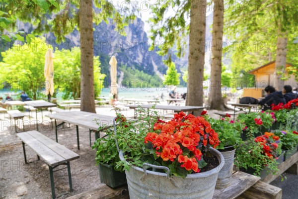 A cosy garden area with tables, chairs and bright red flowers under tall trees, Lake Braies, South