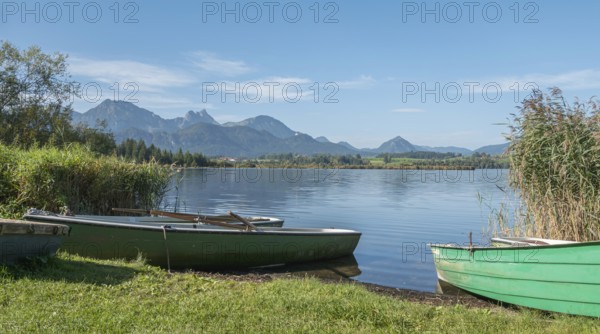 Rowing boats on Lake Hopfensee, Hopfen am See, near Füssen, Allgäu Alps, East Allgäu, Allgäu,