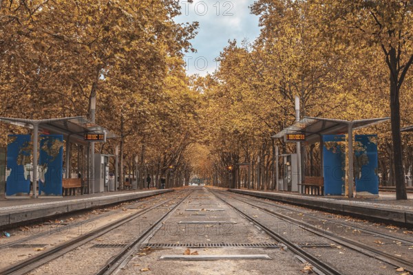 Empty tramway tracks in bordeaux city center during the fall season, with colorful trees lining the