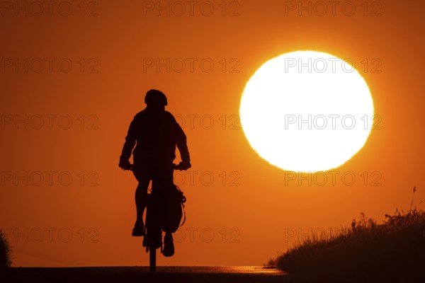 A bicycle rides at sunrise on a country lane near Frankfurt am Main, Frankfurt am Main, Hesse,