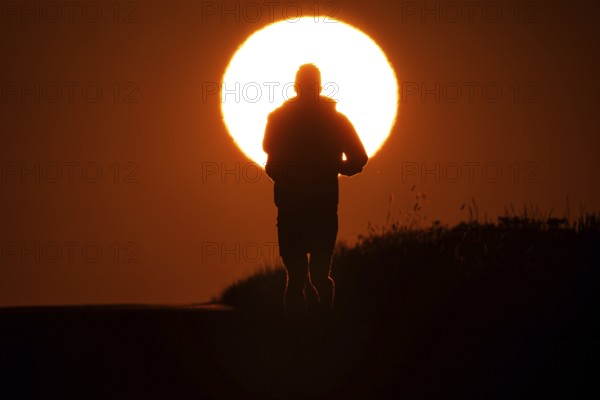 A jogger runs at sunrise on a country lane near Frankfurt am Main, Frankfurt am Main, Hesse,