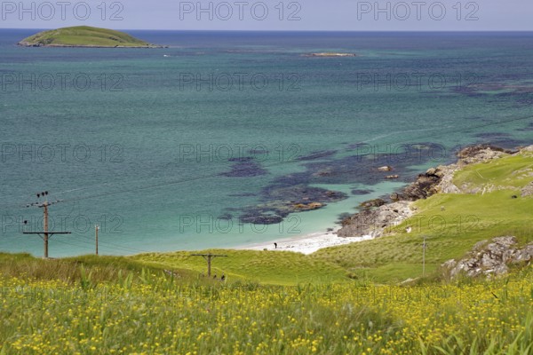Coastal landscape with green hill and flowering meadow in front of a calm sea with small islands in