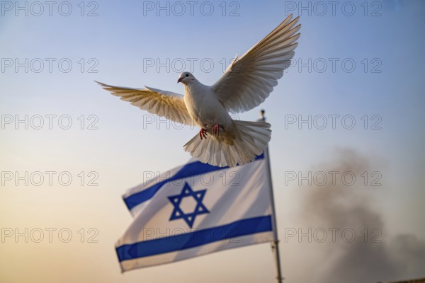 Peace dove soaring above Israeli flag. Symbol of hope in times of conflict. Generative ai, AI