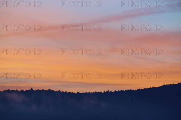 Silhouette of a forest at sunrise with orange-pink sky, Miltenberg, district Miltenberg, Spessart,
