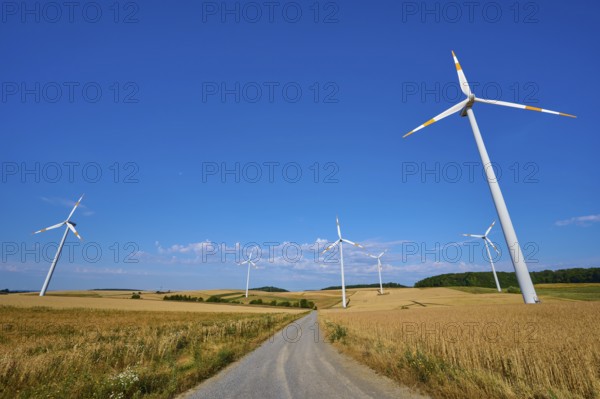 Wind turbines along a road through a vast cornfield under a blue sky, summer, Wenkheim, Werbach,