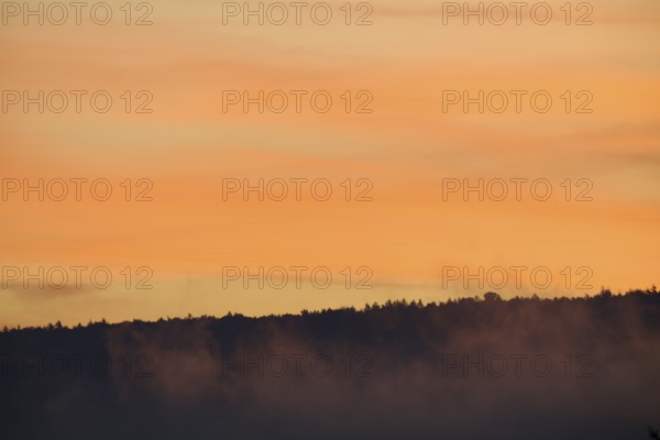 Foggy forest silhouette under an orange sunrise sky, Miltenberg, Miltenberg district, Spessart,