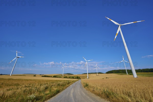 Wind turbines flanking a country road in a quiet wheat field landscape, summer, Wenkheim, Werbach,