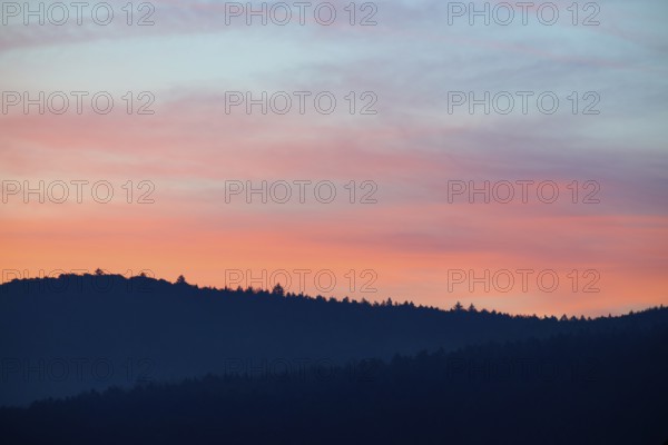 Blue-pink sky over hills at sunrise, silhouette of trees, Miltenberg, district Miltenberg,