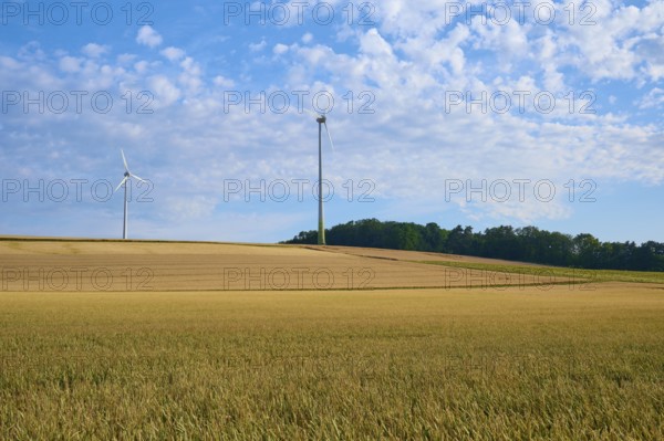 Wide fields with wind turbines under a blue sky and clouds, sustainable energy source, summer,