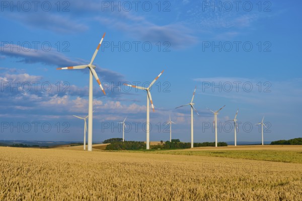 Wind turbines stand on a wide grain field under a light blue sky, summer, Höhefeld, Wertheim,