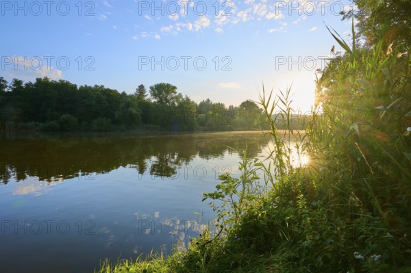Morning sun shines over the river Main and green riverside vegetation, the sky is clear with