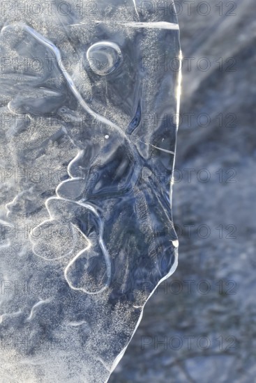 The mask... Ice sculptures (winter flood Lower Rhine 2020, 2021), art in nature, ice plate formed