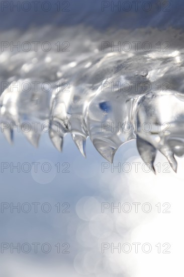 Shark teeth... Ice formations (winter flood 2020, 2021) formed from wind and water on an ice sheet