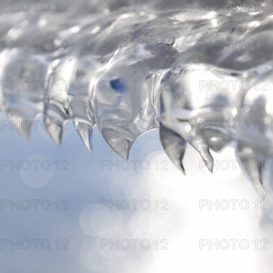 Shark teeth... Ice formations (winter flood 2020, 2021) formed from wind and water on an ice sheet