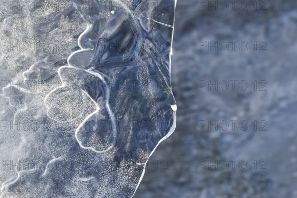 The mask... Ice sculptures (winter flood Lower Rhine 2020, 2021), art in nature, ice plate formed
