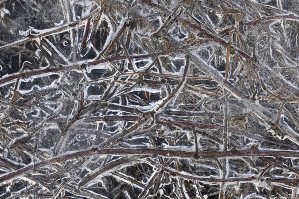 Structures in the ice... Ice formations (winter flood 2020, 2021), alluvial material frozen in the
