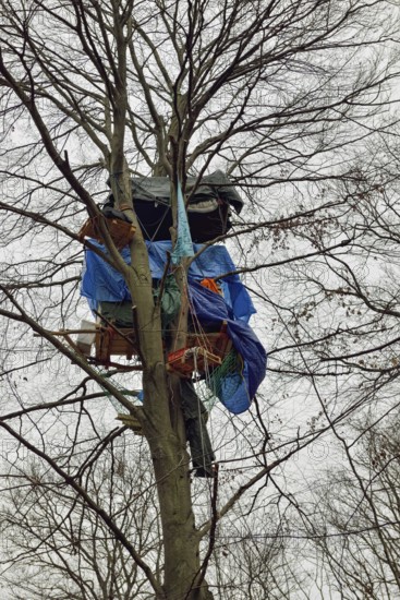 Standing up for the preservation of the forest... Tree house in Hambach Forest, environmental