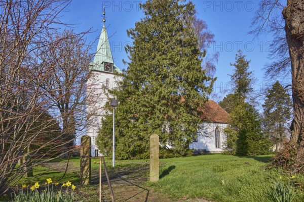 Evangelical Lutheran Church Hille, bare winter trees, blue cloudless sky, Eickhorster Straße,