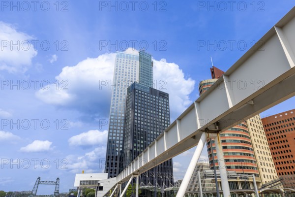 Holland, Rotterdam. Downtown financial business district panorama and city skyline