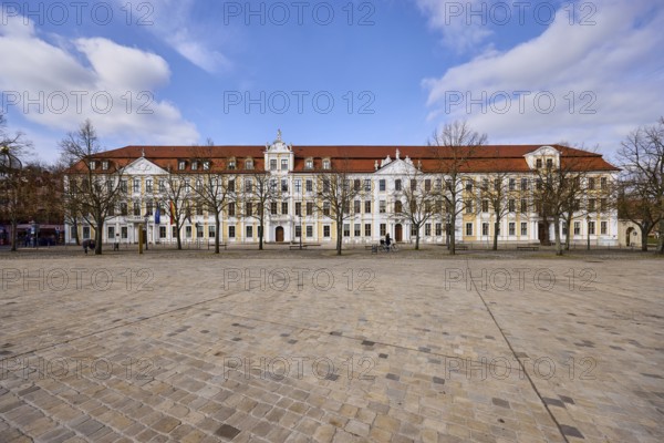 State parliament, historical building, baroque architectural style, bare wintry trees, diffuse
