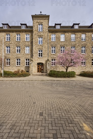 Tax office, sandstone building, Japanese flowering cherry (Prunus serrulata), flowering tree,