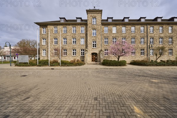 Tax office, sandstone building, Japanese flowering cherry (Prunus serrulata), flowering tree,