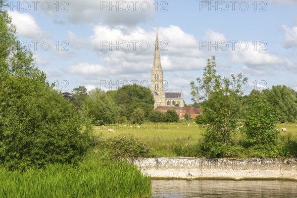 View from Harnham Lock over water meadows to Salisbury cathedral church, Salisbury, Wiltshire,