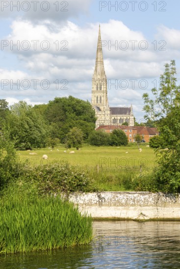 View from Harnham Lock over water meadows to Salisbury cathedral church, Salisbury, Wiltshire,