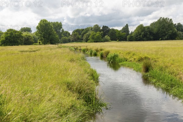View west of drainage channel in watermeadow, Harnham Water Meadows, Salisbury, Wiltshire, England,