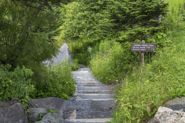 Entrance to Forney Ridge Trail, Forney Creek Trail and Andrews Bald Trail from Clingman's Dome in