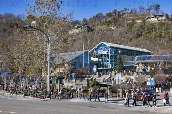 Tourists walking past Ripley's Aquarium of the Smokies on street decorated for the Christmas