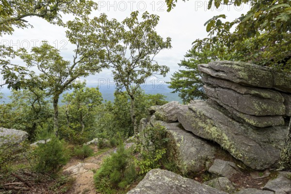 Overlook along the Bald Rock Trail in Cheaha State Park, Alabama, USA