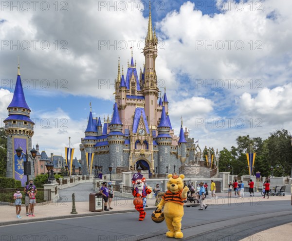Winnie the Pooh and Tigger walk past Cinderella's Castle at the end of Main Street in the Magic