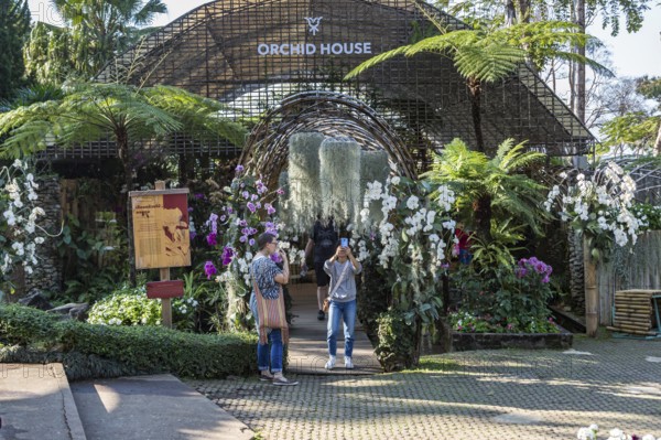 Woman taking selfie photo at the Orchid House at Mae Fah Luang Gardens within the Doi Tung tourist