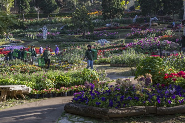 Landscape workers in Mae Fah Luang Gardens within the Doi Tung tourist attraction in Chiang Rai,