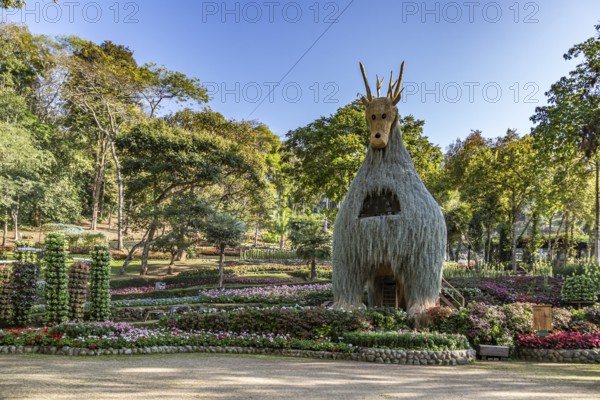 Llama tree at Mae Fah Luang Gardens within the Doi Tung tourist attraction in Chiang Rai, Thailand