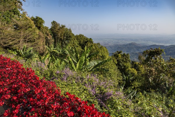Colorful lush flower gardens line the perimeter of the mountain top Doi Tung Royal Villa lawn with
