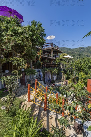 Lush garden at the Doi Phamee coffee shop and restaurant in Mae Sai district of Chiang Rai,